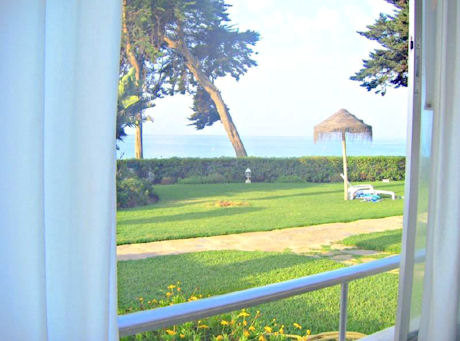 view